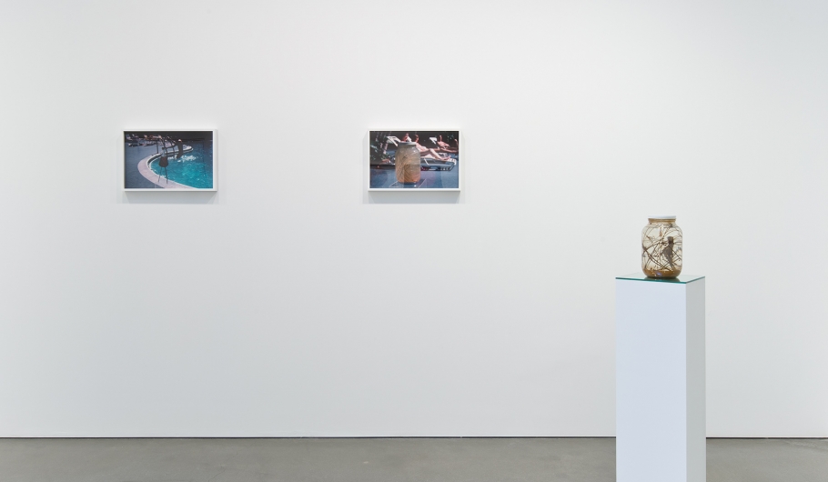 Liz Larner