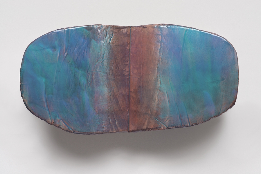 Liz Larner