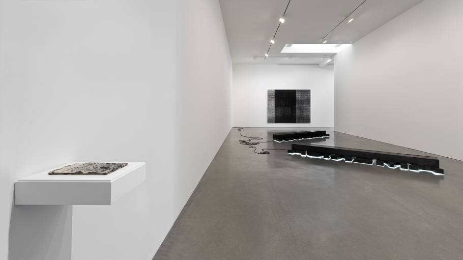 Glenn Ligon - if you call that gone