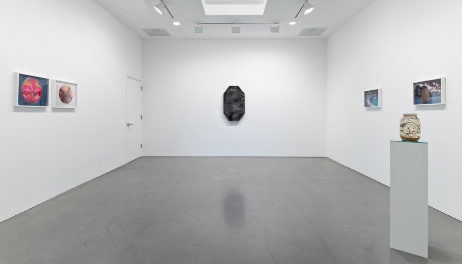 Liz Larner