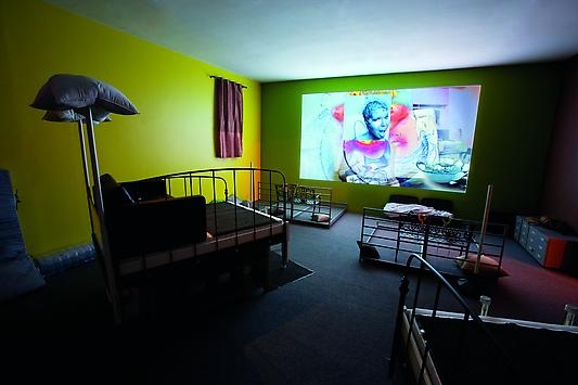 Ryan Trecartin, Lizzie Fitch, Living Comp