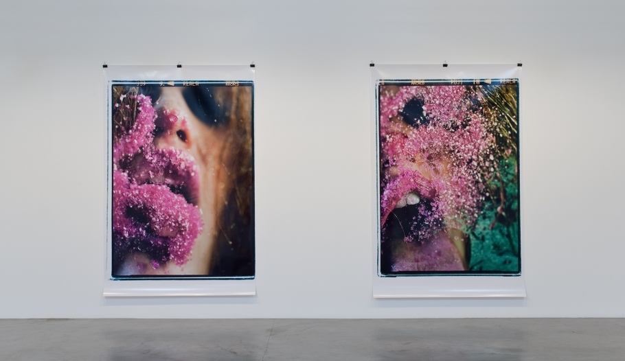 Marilyn Minter