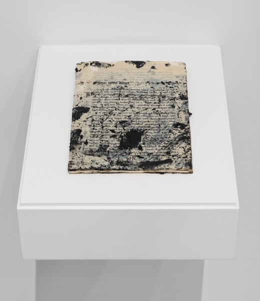 Glenn Ligon - untitled