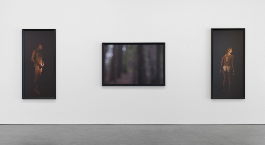 Catherine Opie
