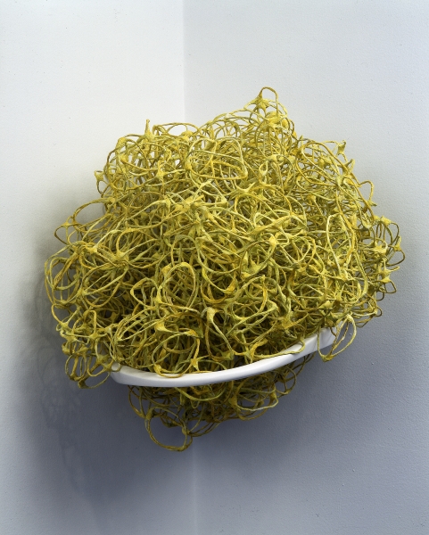 Liz Larner, Devex Yellow