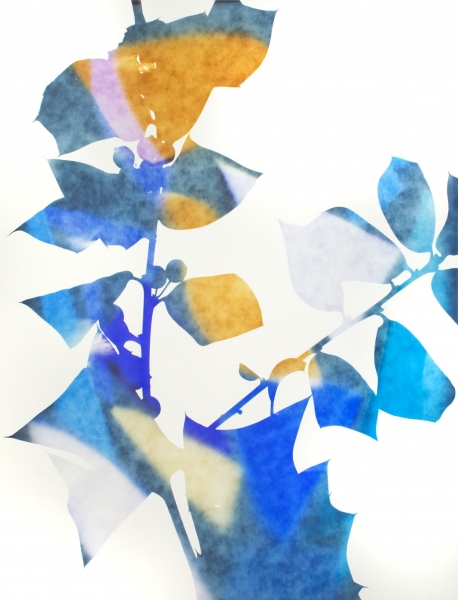 James Welling