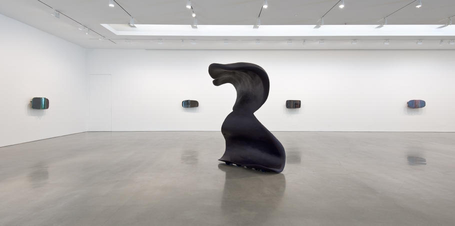 Liz Larner