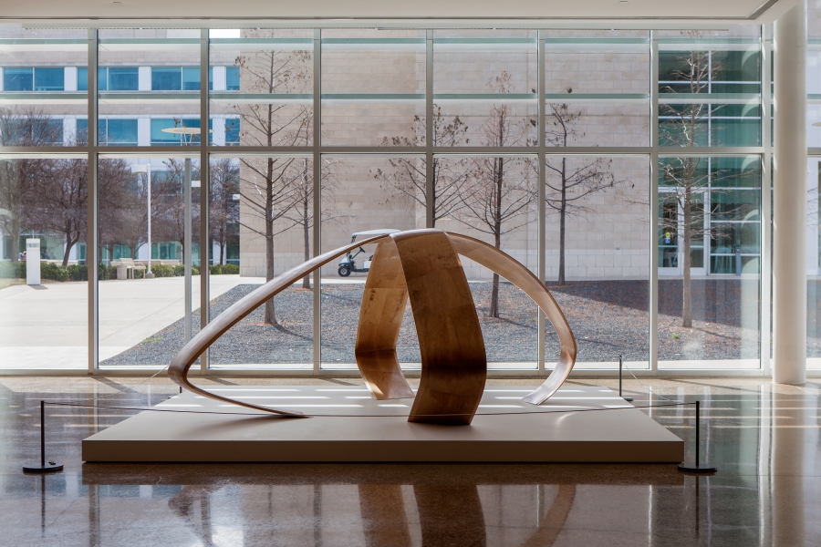 Liz Larner, Nasher