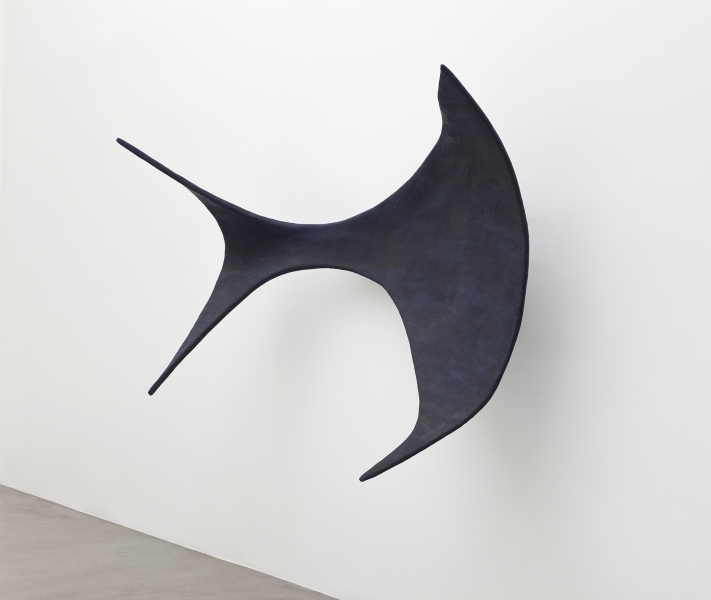 Liz Larner, planchette
