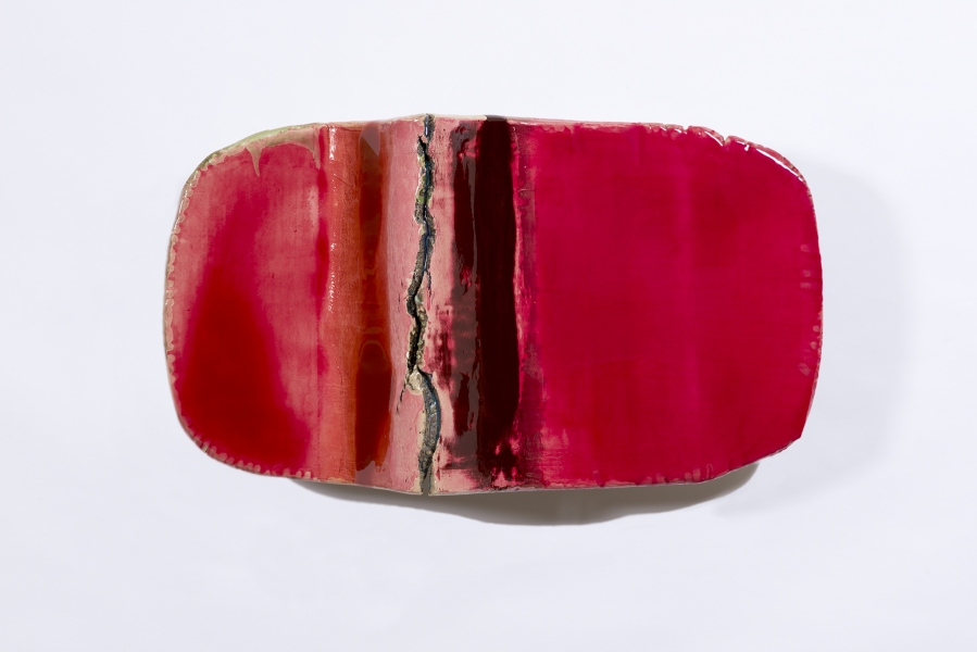 Liz Larner, vi (caesura)