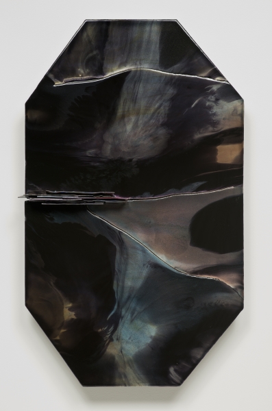Liz Larner, Octan