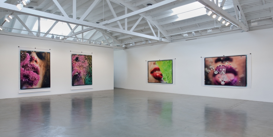 Marilyn Minter