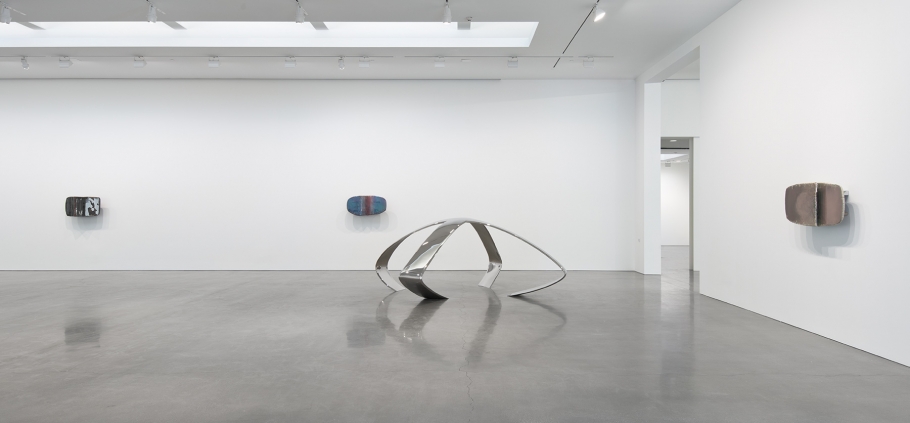 Liz Larner