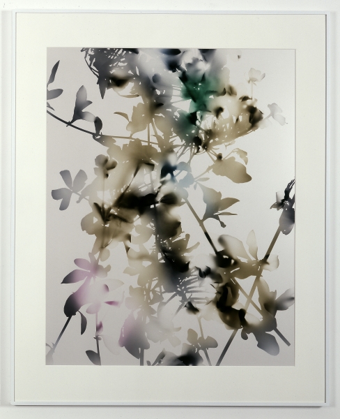 James Welling