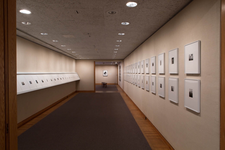 James Welling Art Institute of Chicago