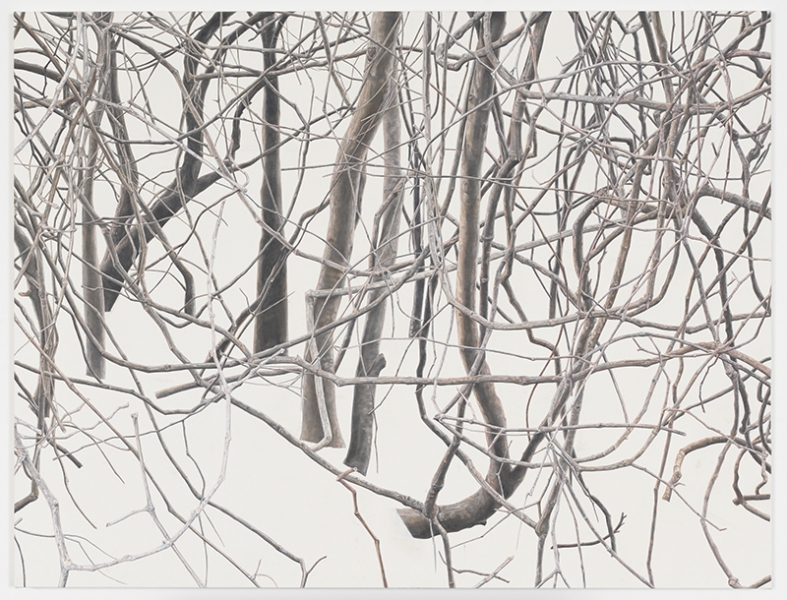 Toba - Branches
