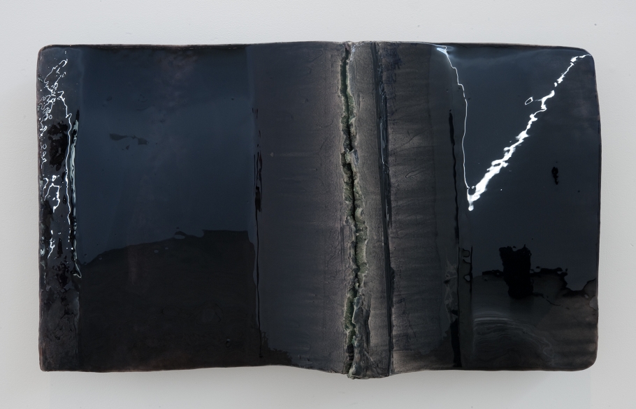 Liz Larner, Caesura