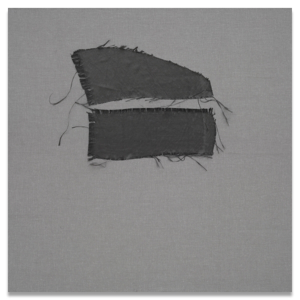 Sergej Jensen, The brain
