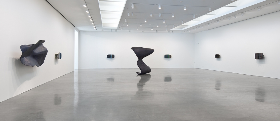 Liz Larner