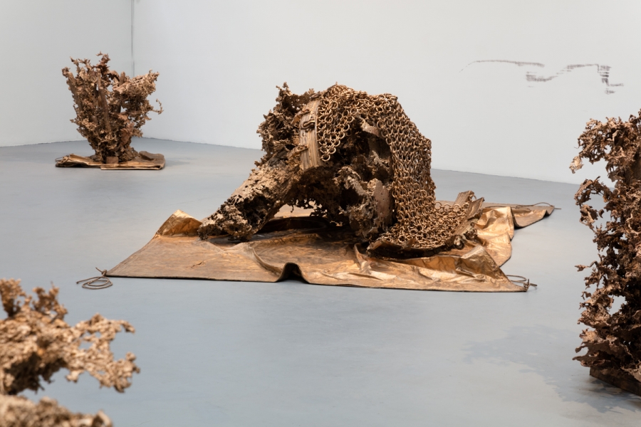 Matthew Barney - River of Fundament