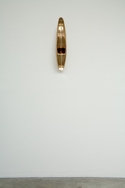 Anish Kapoor
