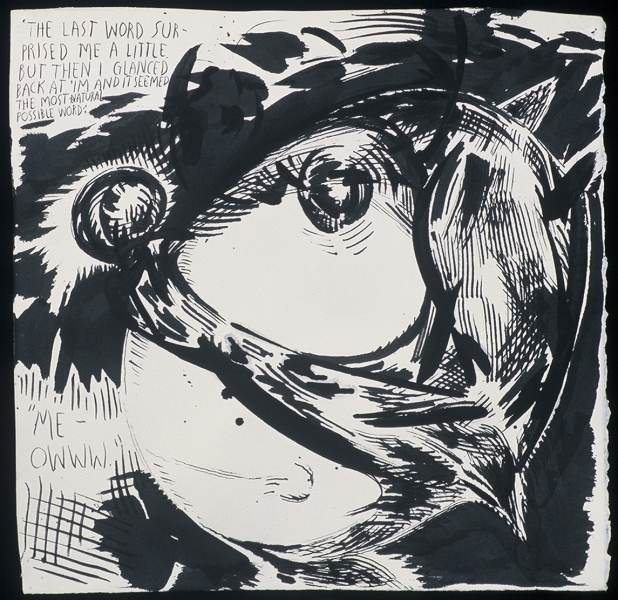 Raymond Pettibon