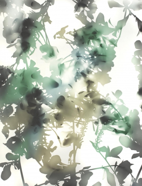 James Welling