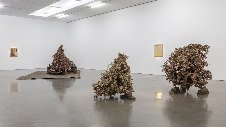 Matthew Barney - Water Castings