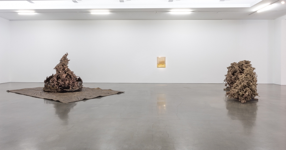 Matthew Barney - Water Castings