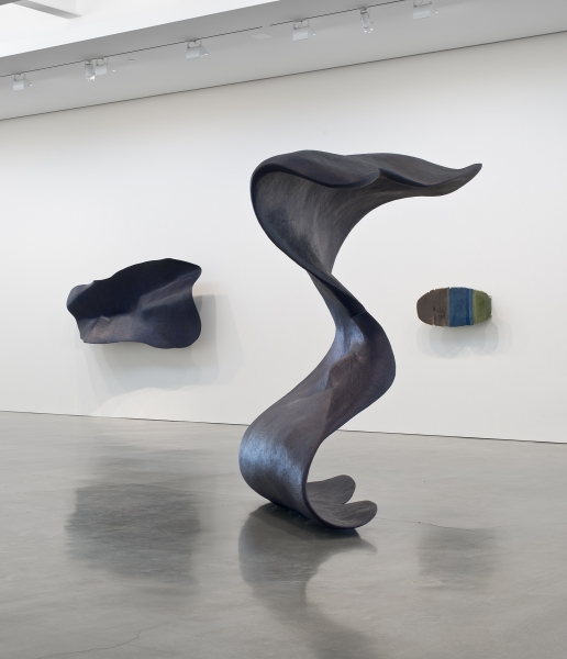 Liz Larner