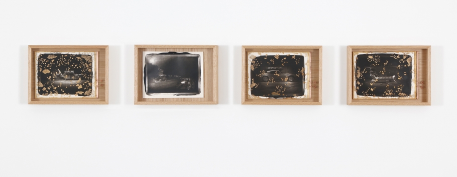 Matthew Barney - In vain