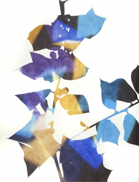 James Welling
