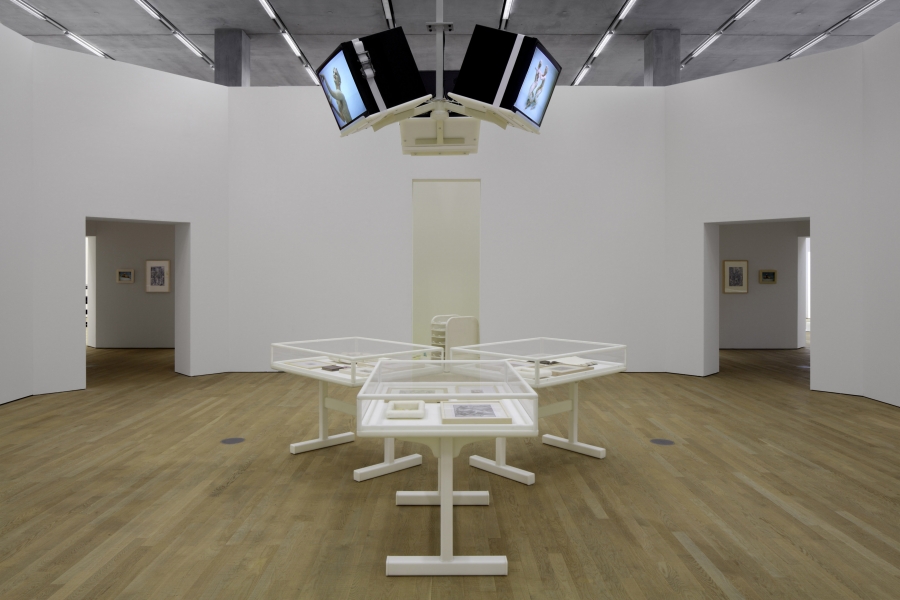 Mathew Barney - Schaulager