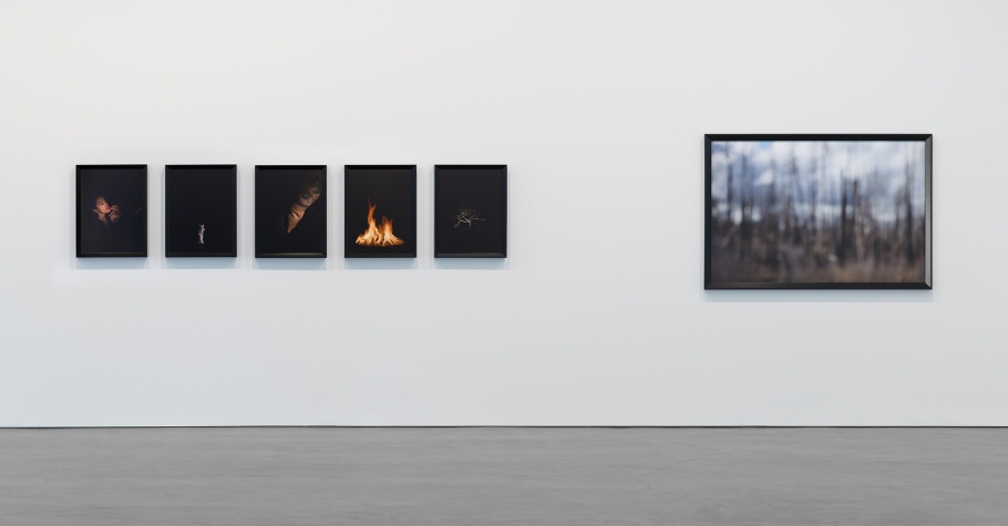 Catherine Opie