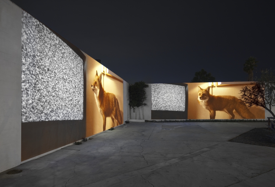 Doug Aitken - migration