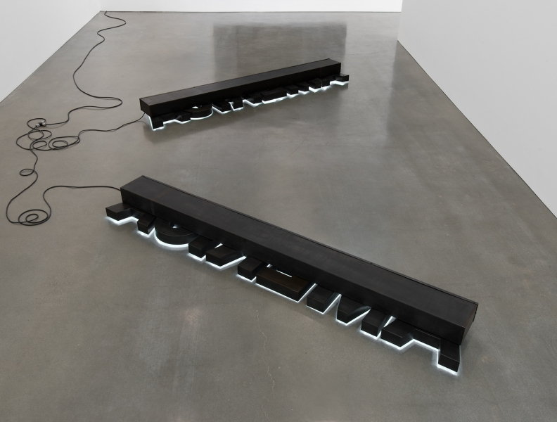 Glenn Ligon - double america floor