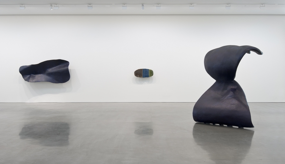 Liz Larner