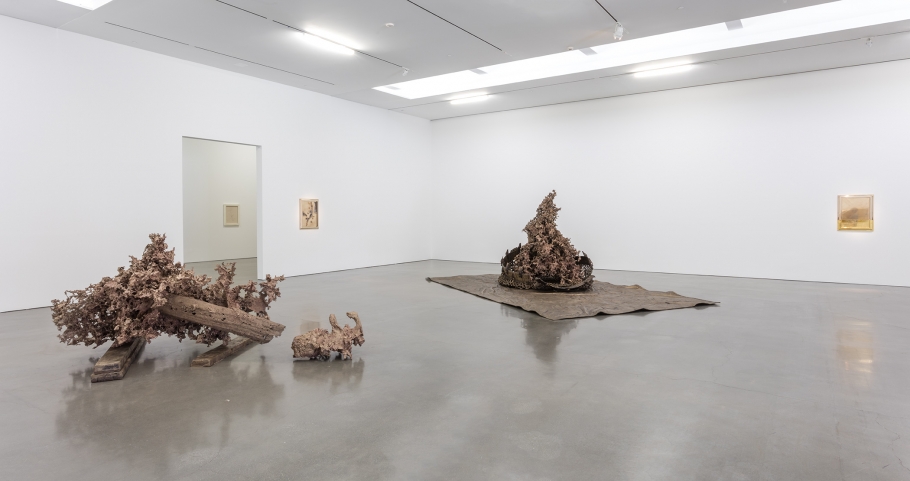 Matthew Barney - Water Castings