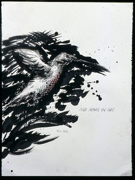 Raymond Pettibon