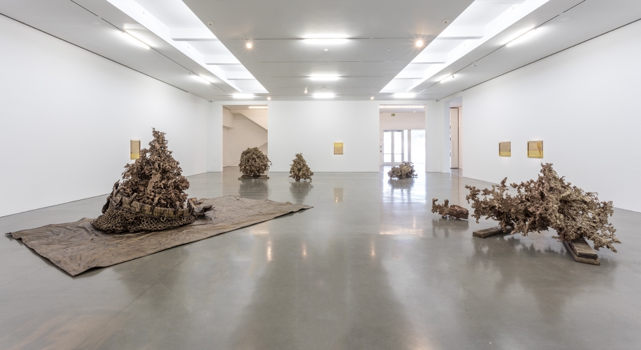 Matthew Barney