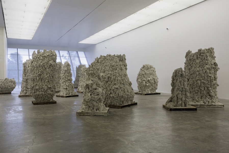 Anish Kapoor