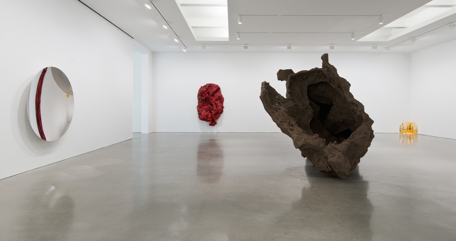 Anish Kapoor