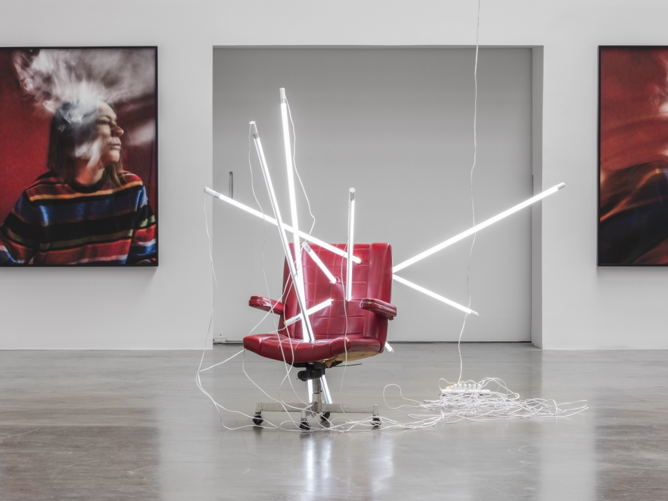 sarah lucas