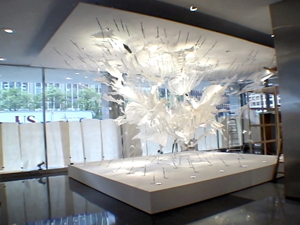 Bride Fight - Time Lapse Installation