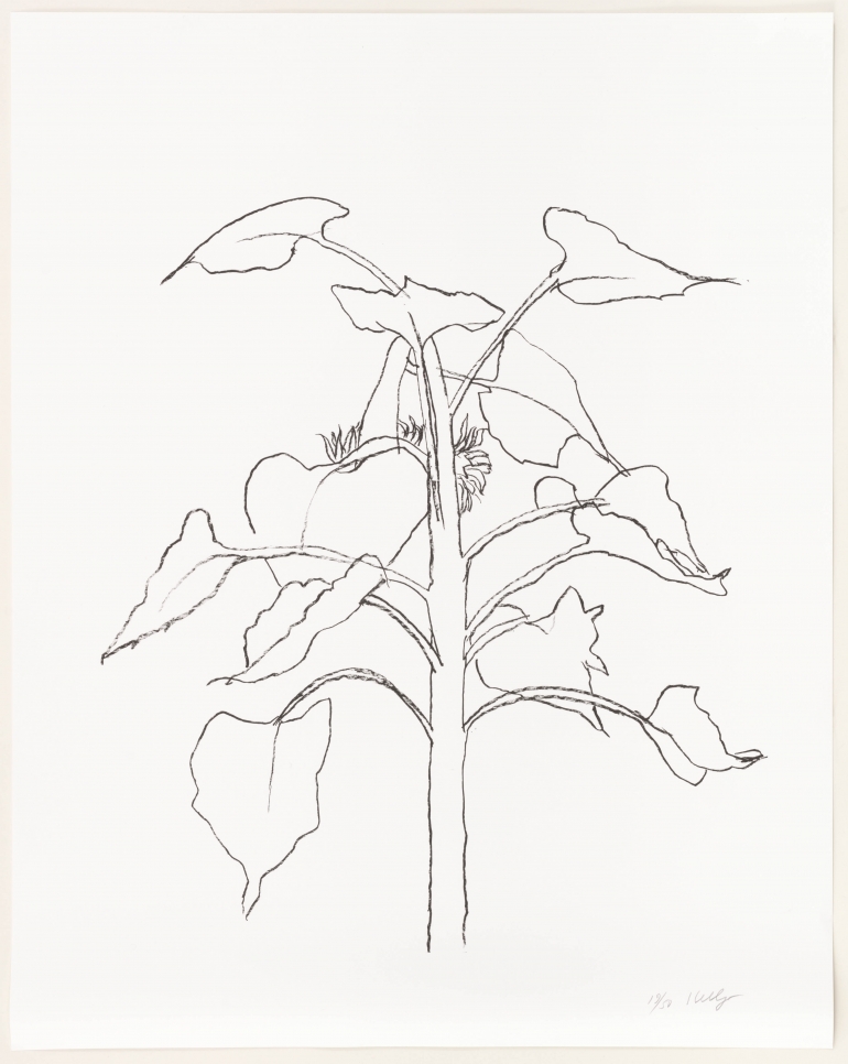 Ellsworth Kelly
