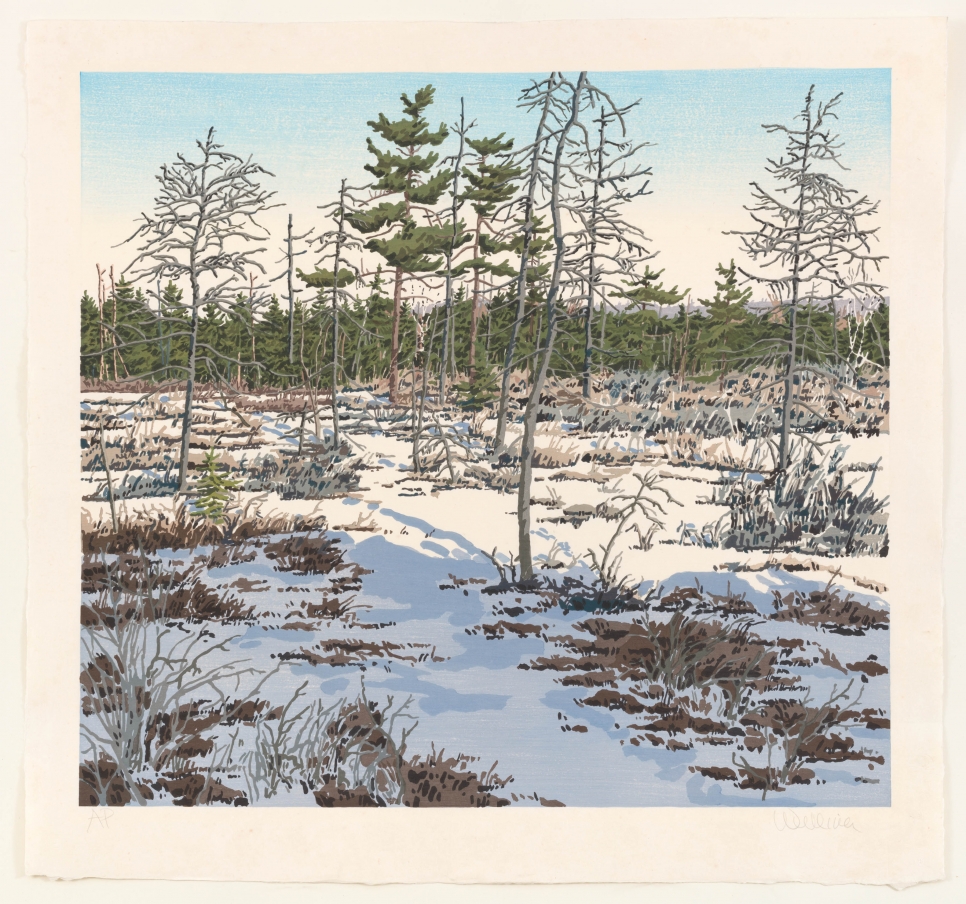 Neil Welliver