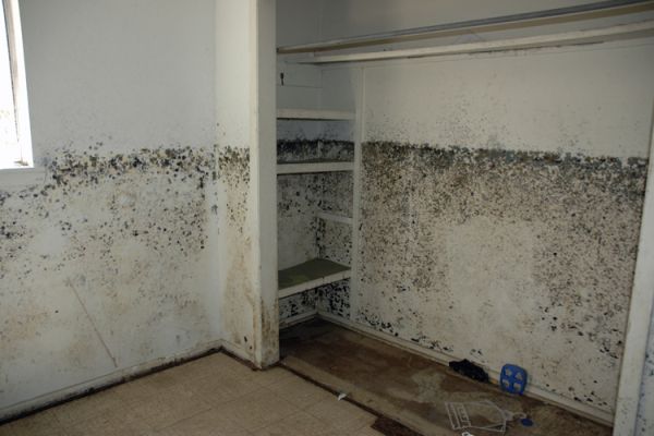Zoe Strauss, Bedroom Waterline Post-Katrina. Biloxi, MS. September 2005, Archival Inkjet Print 