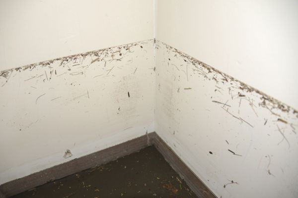 Zoe Strauss, Closet Waterline Post-Sandy. Toms River, NJ. December 4, 2012, Archival Inkjet Print 