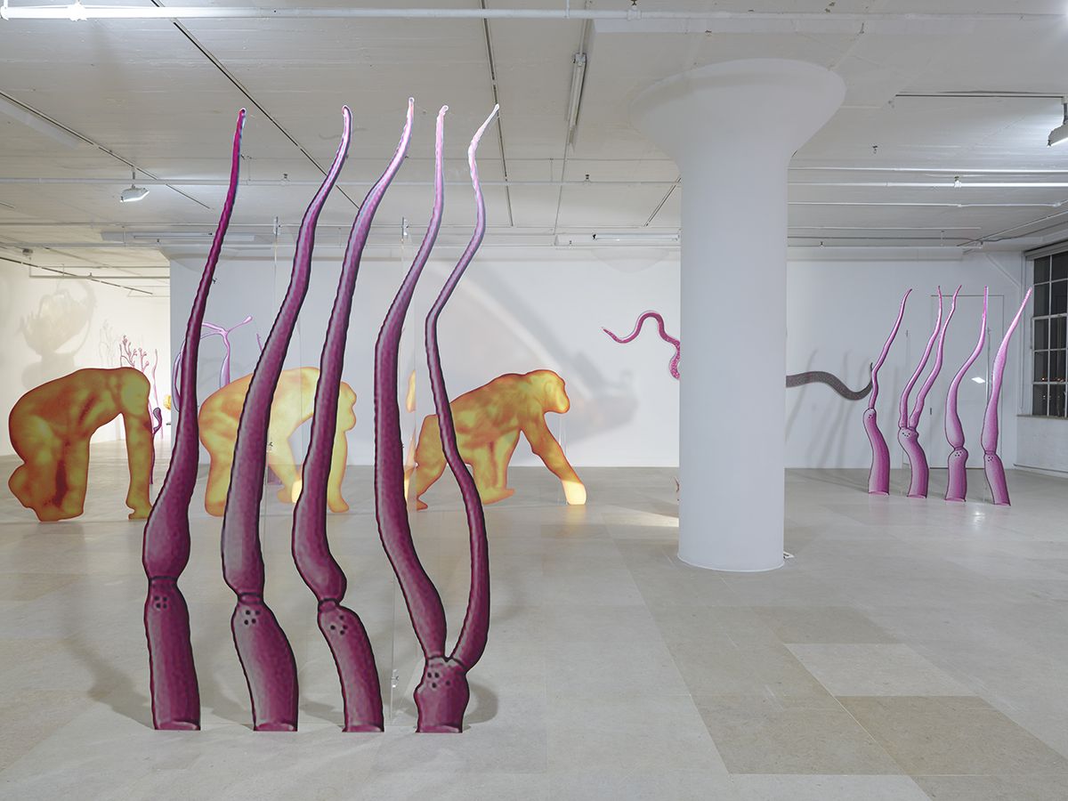 Katja Novitskova, Installation view, Approximation (Storm Time), Greene Naftali, New York, 2016