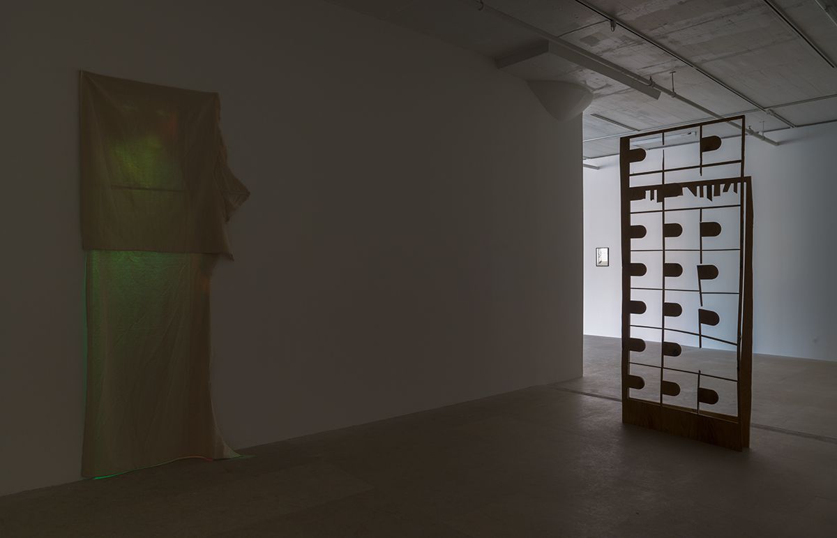 Installation view, Greene Naftali, New York, 2013
